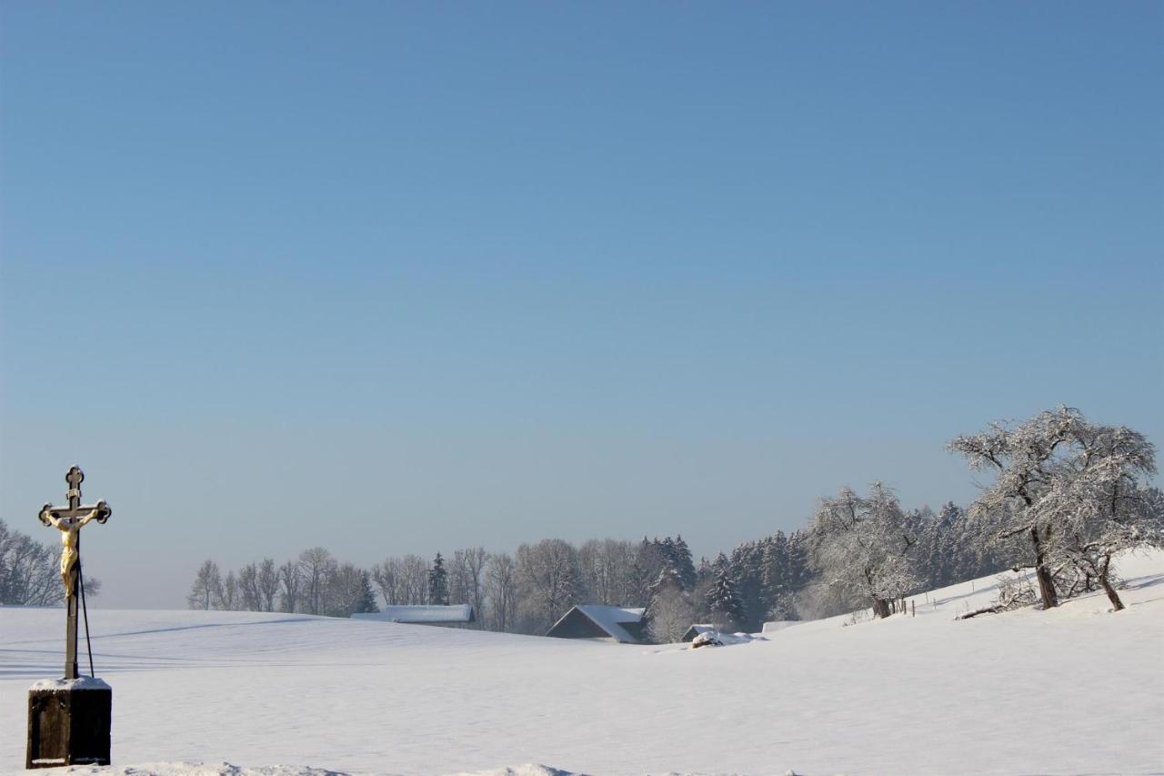 Apartamento Auszeit Auf Dem Lindenhof Wangen im Allgäu Exterior foto