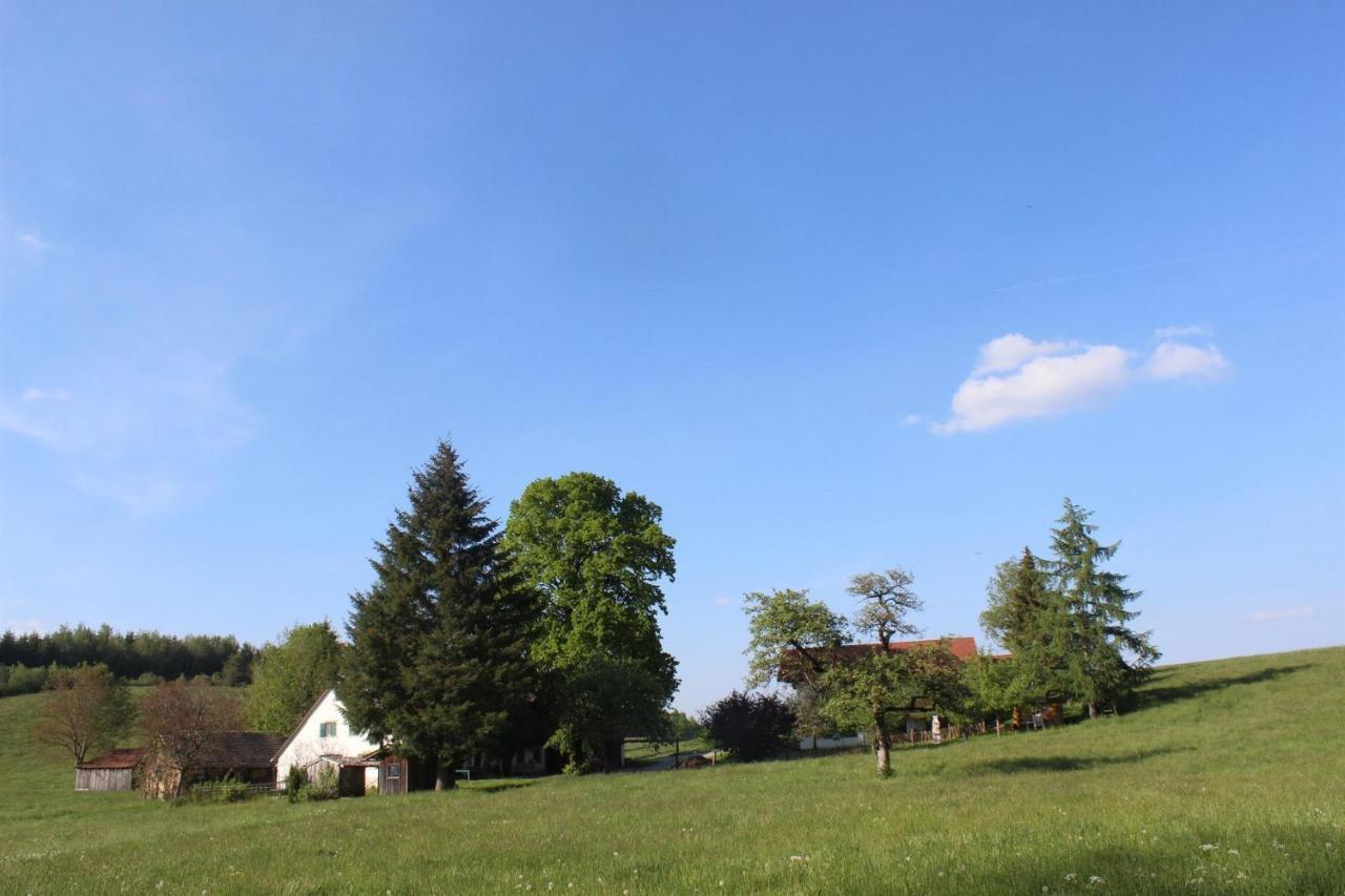 Apartamento Auszeit Auf Dem Lindenhof Wangen im Allgäu Exterior foto