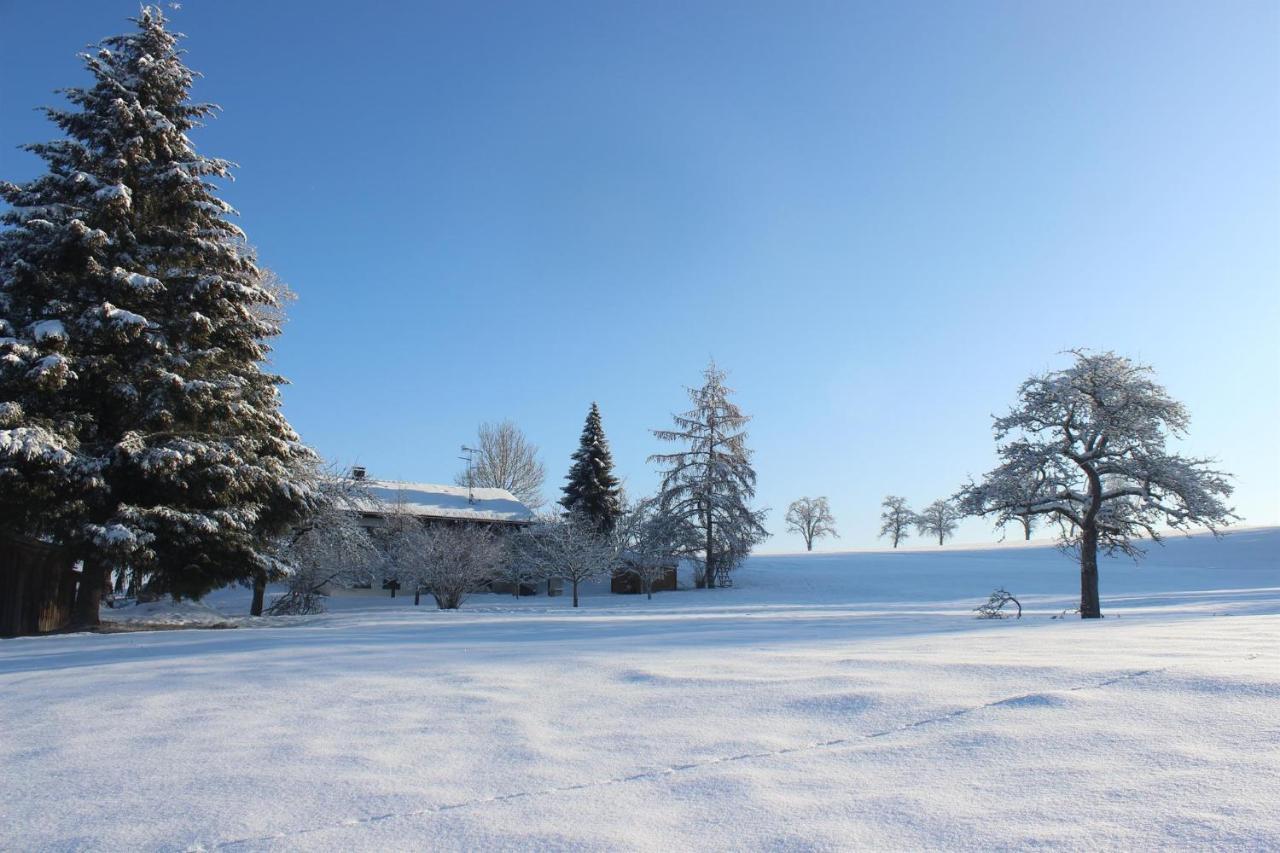 Apartamento Auszeit Auf Dem Lindenhof Wangen im Allgäu Exterior foto